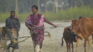 Female cattle farmers.jpg
