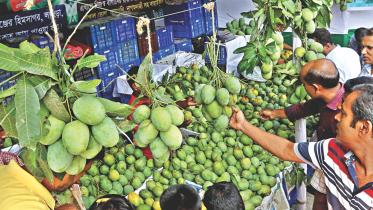 Fest of Fruits 1.jpg