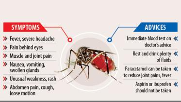 fight against dengue.jpg