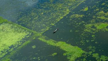 Final Selection (4).jpg