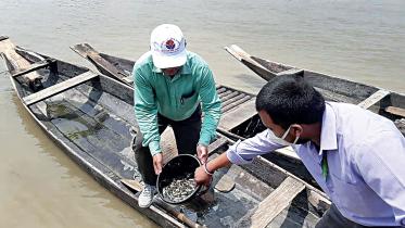 Fish-threat-haors-Sylhet.jpg