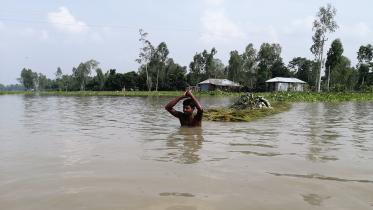 Flood-2.jpg