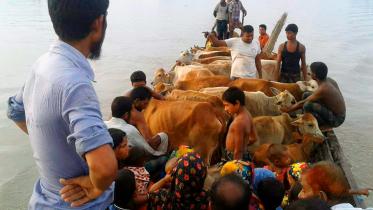 flood-2017 photo from Friendship.jpg