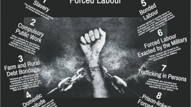 Forced labour The law of the jungle