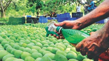 fruit adulteration.jpg