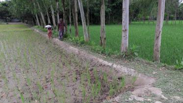 Fulgachh Kakeya village.jpg
