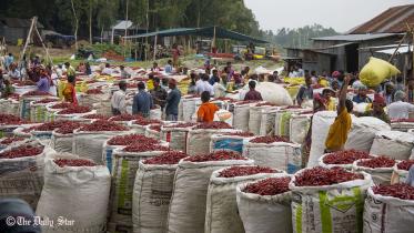 gaibandha_red_chilli.jpg