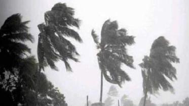 gaja_PIB India_Twitter.JPG