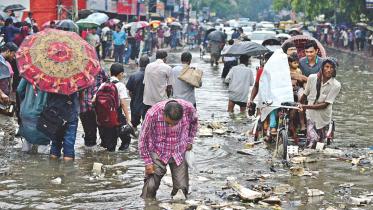 Garbage floats on rain water.jpg