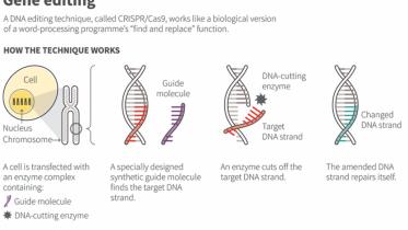 gene.jpg