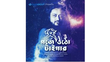 Hasib’s new track cricketers.jpg