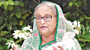 hasina.jpg