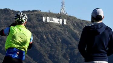 Hollyweed-web.jpg