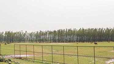 horrible example land leased.jpg