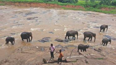 In the land of the lion with the sword