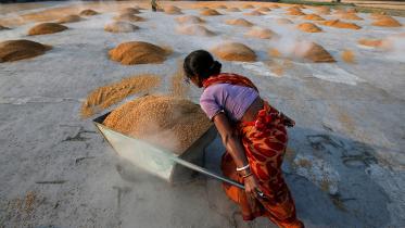 India Rice.JPG
