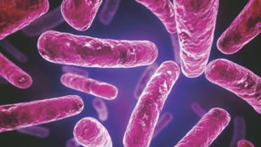 infectious disease.jpg