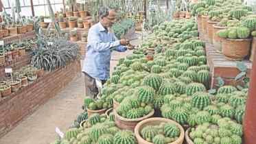 Into the World of Cacti