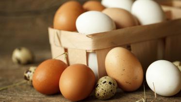 istock_88518085.199be094920.original.jpg
