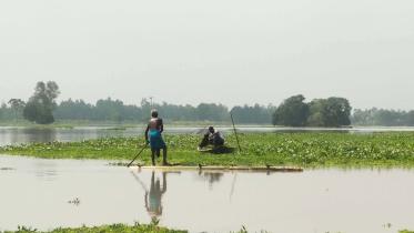 Jamuna-river-1.jpg