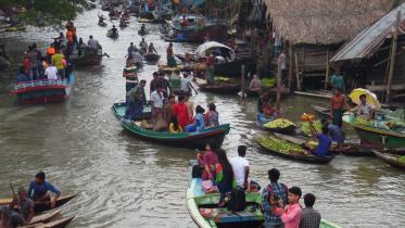 jhalkhati guava market 1.jpg