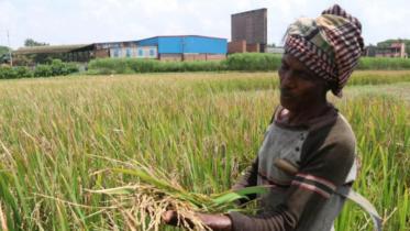 kilns near farmlands.jpg