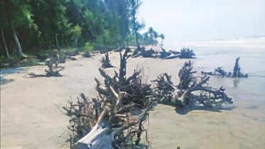 Kuakata beach.jpg