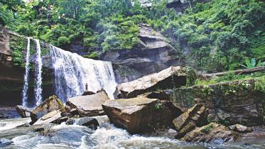 local adventurer 1.jpg