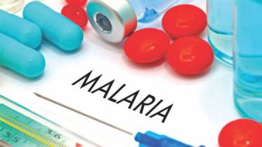 Malaria.jpg