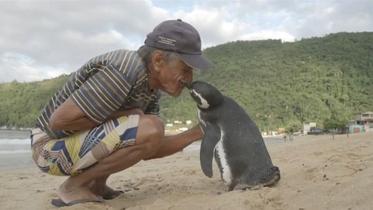 man-meet-penguin.jpg