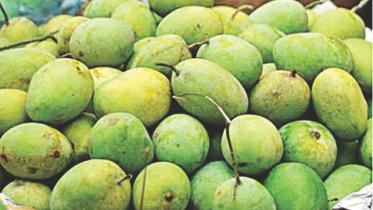 Mango shipment.jpg