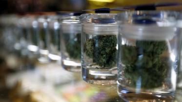 Marijuana-1-web.jpg