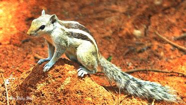 MDB photo May 24.jpg