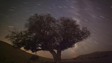 meteor-shower-1-web.jpg