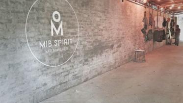 MIB sprit