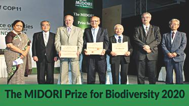 MIDORI Prize.jpg