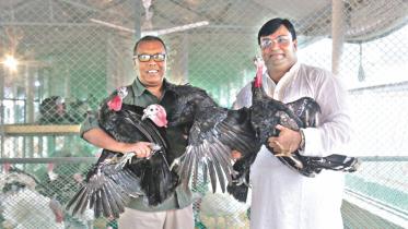 millionaire turkey farmer.jpg