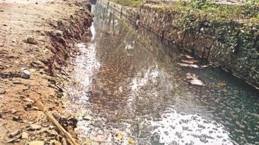 mosquito population.jpg