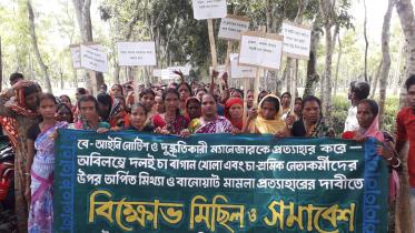 Moulvibazar.jpg