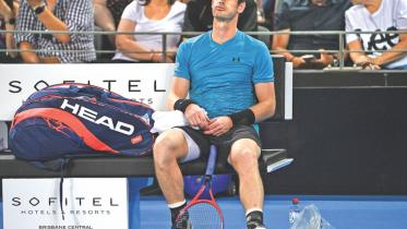 murray.jpg
