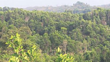 nature-based-solutions.jpg