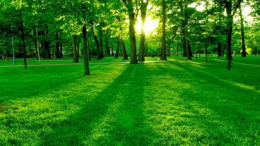 nature