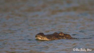 NIB Photo 19th Dec.jpg