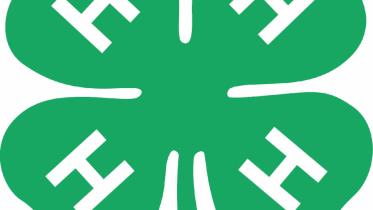 On a mission to make the best, better