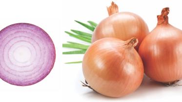 onion.jpg