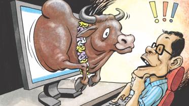 online cattle sale.jpg