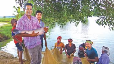 Organic food producer.jpg