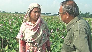 pabnas farming tradition.jpg