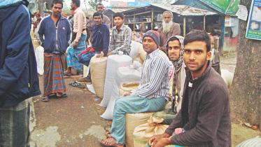 Paddy price Jhenidah.jpg