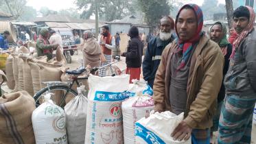 Paddy prices dip.jpg